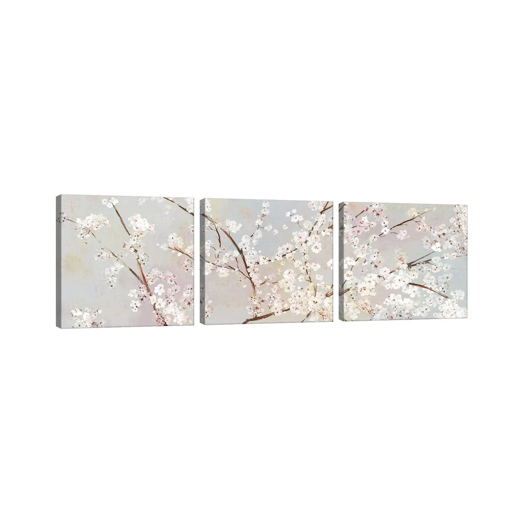 iCanvas "Bloomingdale" by Asia Jensen 3-Piece Canvas Wall Art Set