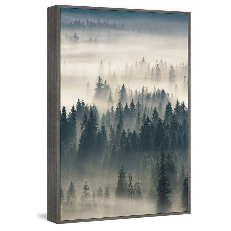 Come to the Woods Floater Framed Print on Canvas
