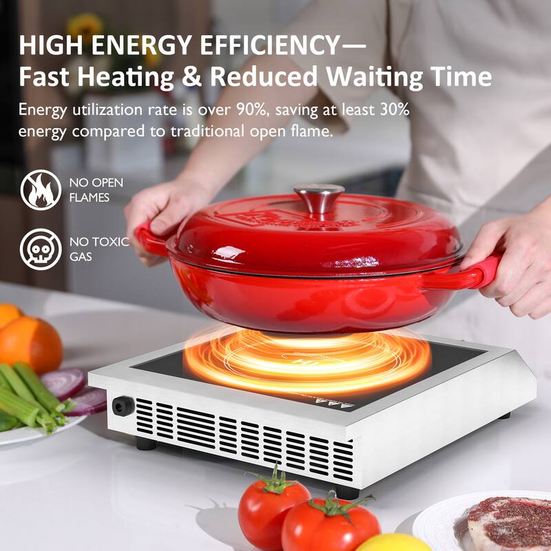 1800W Portable Induction Cooktop