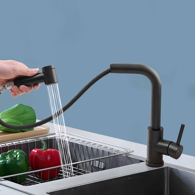 Topcraft Single Handle Pull-Out Stainless Steel Kitchen Faucet