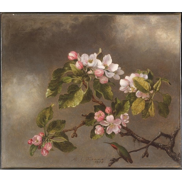 Easy Art Prints Martin Johnson Heade's 'Hummingbird and Apple Blossoms' Premium Canvas Art