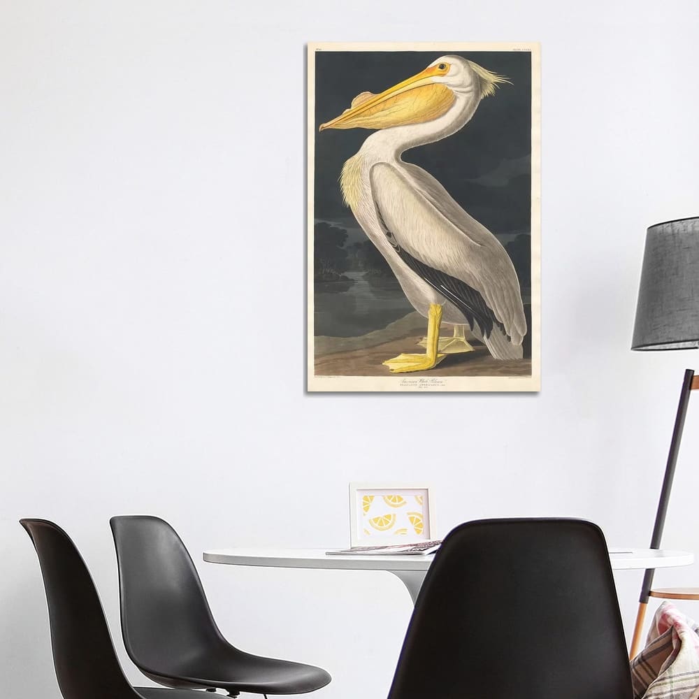 iCanvas "American White Pelican" by John James Audubon Canvas Print