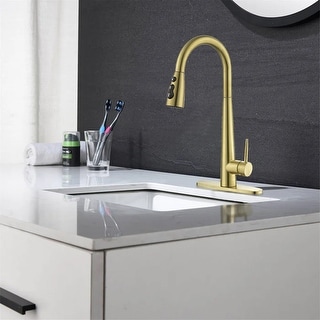 Topcraft Pull Down Kitchen Faucet with Single Handle - Bed Bath