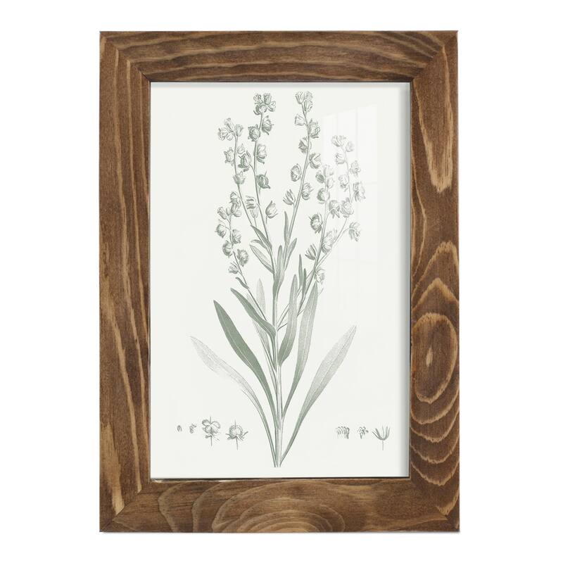 Botanical Study in Sage I -Framed Print w/glass-Cherry Red