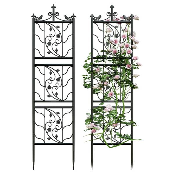 Black Iron Garden Wall Trellis Plant Climbing (Set of 2)