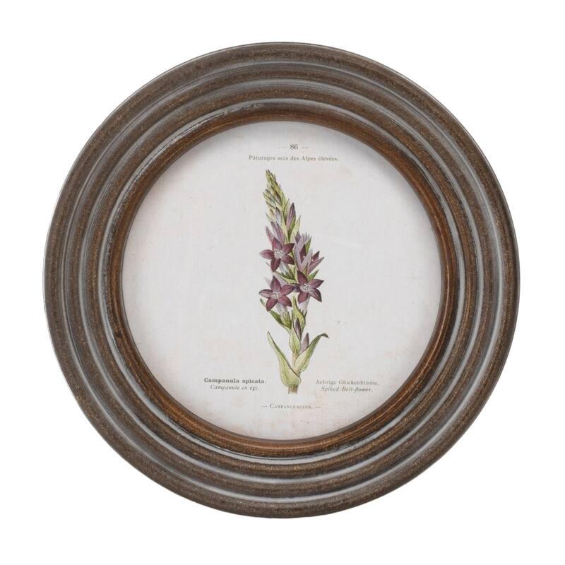 Round Framed Floral Print (Set of 6)