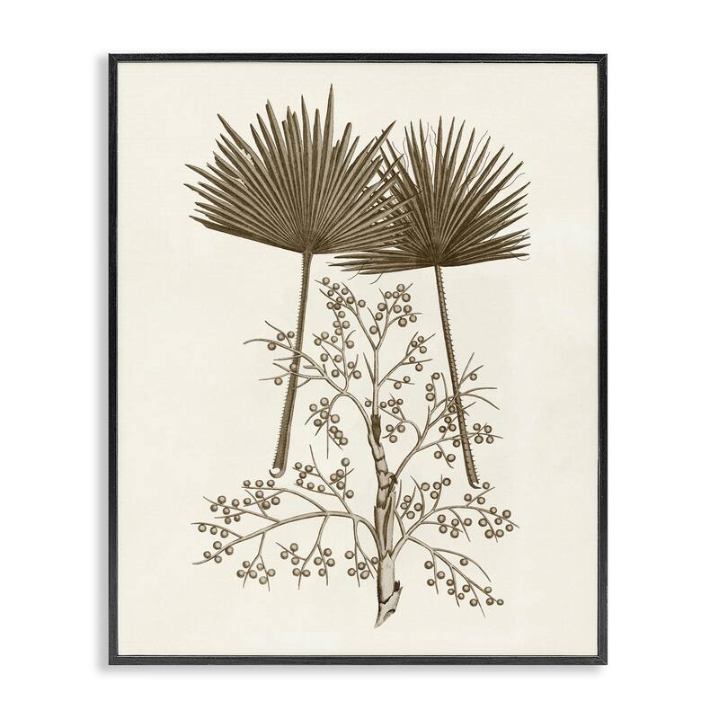 Stupell Palm Leaf & Olive Branches Framed Giclee Art Design By Phillipa Katz - 11 x 14 - Black