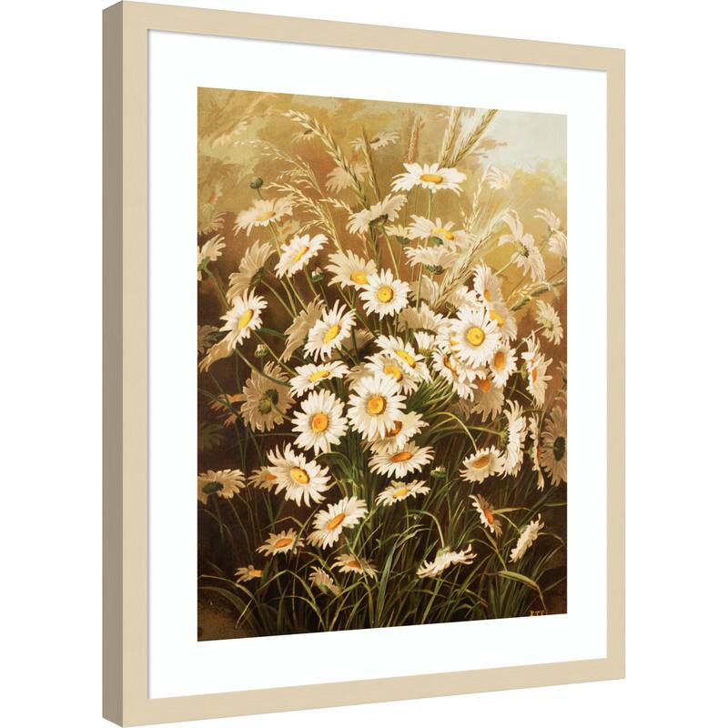 Daisies By Ellen Thayer Fisher by Ellen Thayer Fisher Wood Framed Wall Art Print
