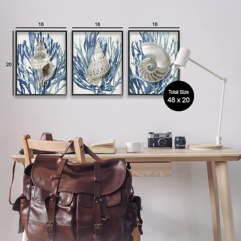 Stupell Trio of Shell Coral Blue Beach Design, 3pc Multi Piece Framed Wall Art Set