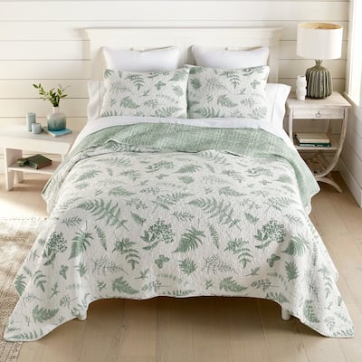 Donna Sharp Botanical Cotton Quilt Collection