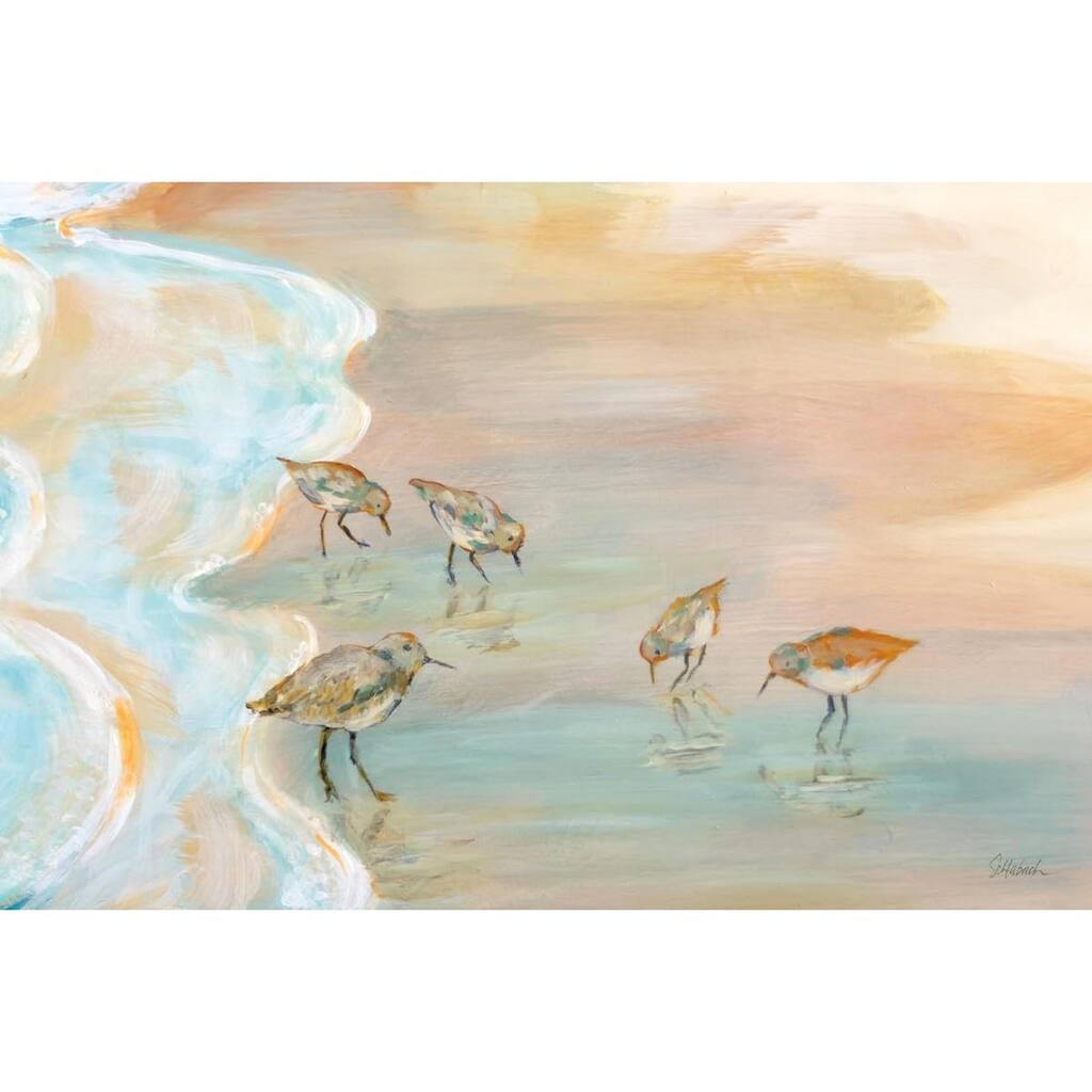Back Bay Sandpipers Art Poster - Print On Demand