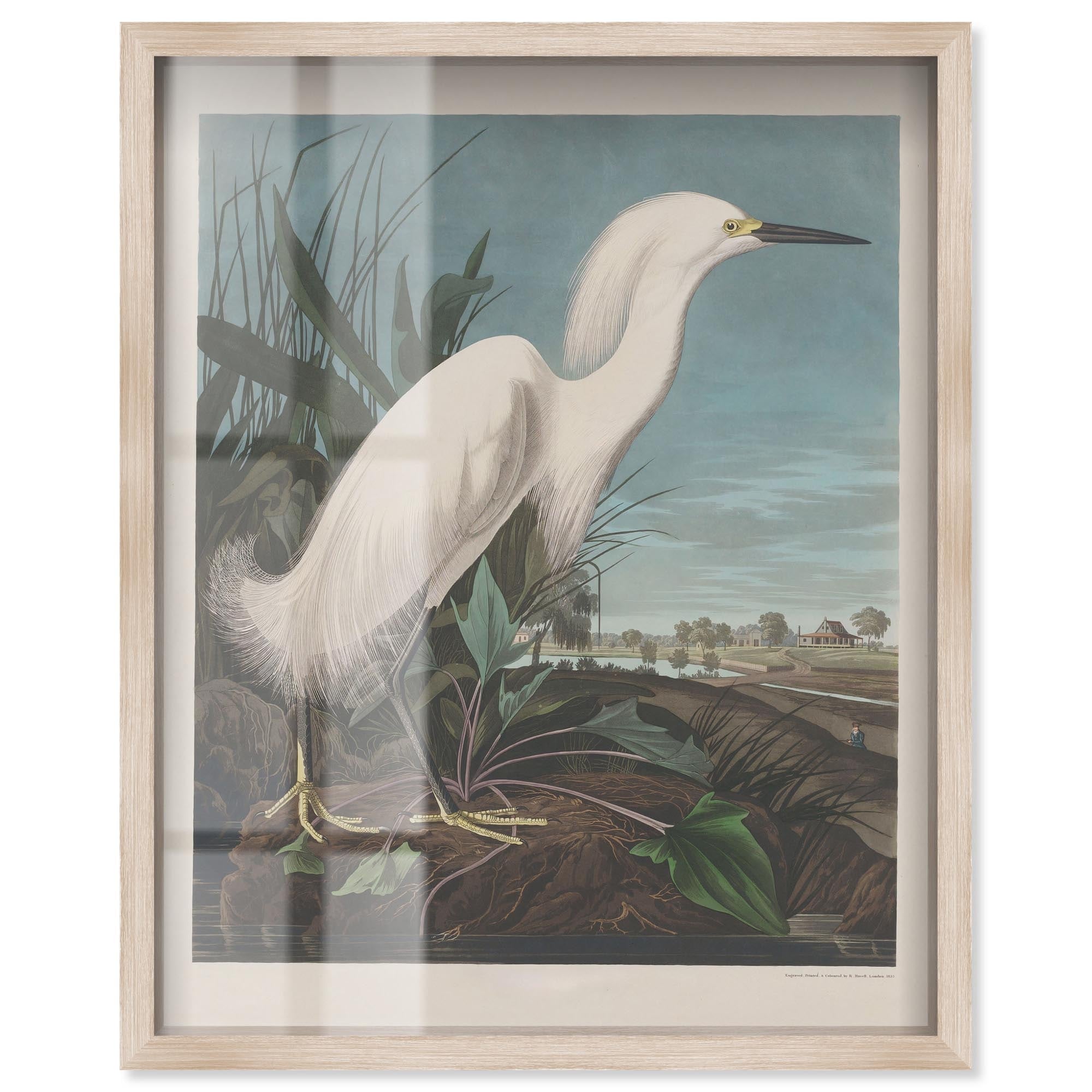 Vision of Grace Vintage Art Shadowbox Print by Art Remedy