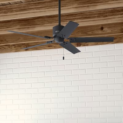 Hunter 52" Windbound Outdoor Ceiling Fan with Pull Chain - Damp Rated!