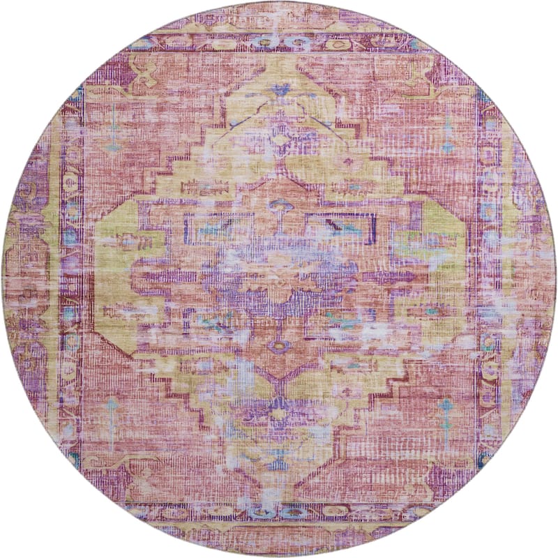 Premium Washable Super Soft Vintage Traditional Mayfield Rug
