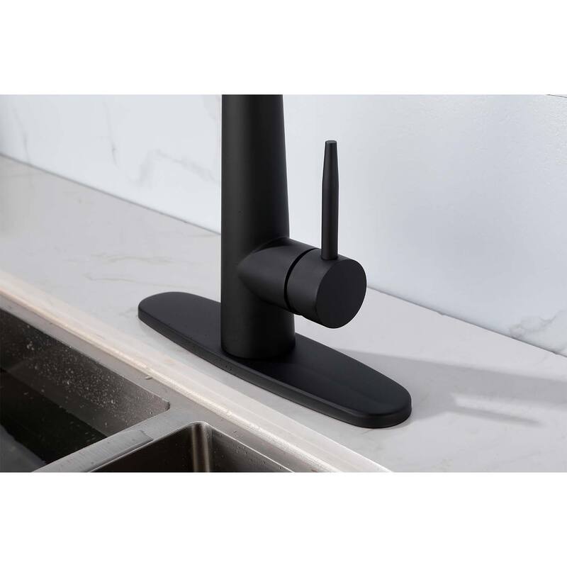 Single Handle Stainless Steel Kitchen Sink Faucet with Pull Down Sprayer