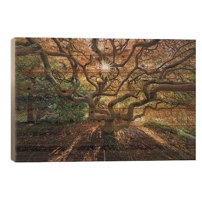 Tentacles And Sun, Seattle, Washington I Print On Wood by Jim Nilsen - Multi-Color