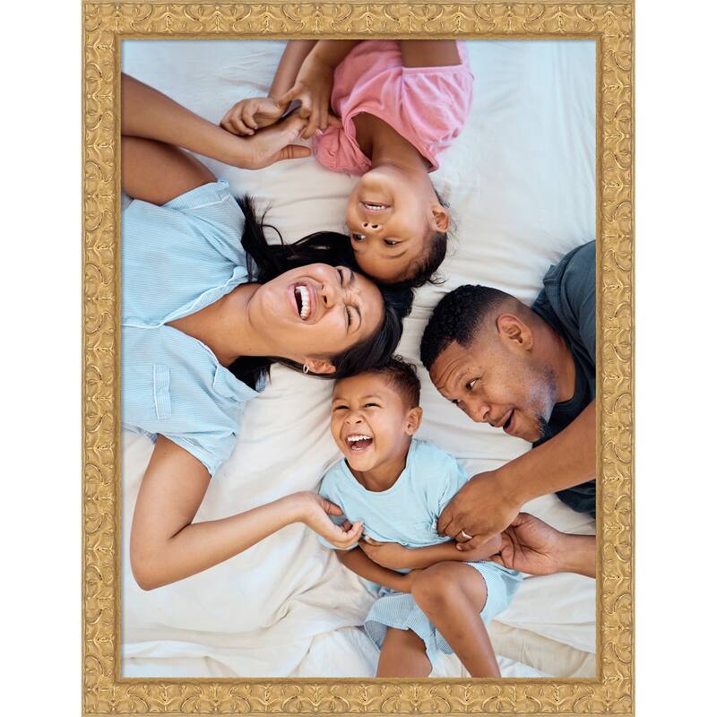 Lila Picture Frame, Photo Frame - 18x24 - Lila Gold