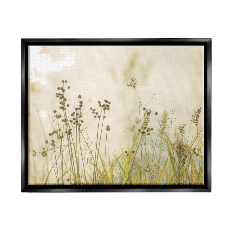 Stupell Rural Country Grasses Framed Floater Canvas Wall Art Design by Erin Marie - 21 x 17 - Black