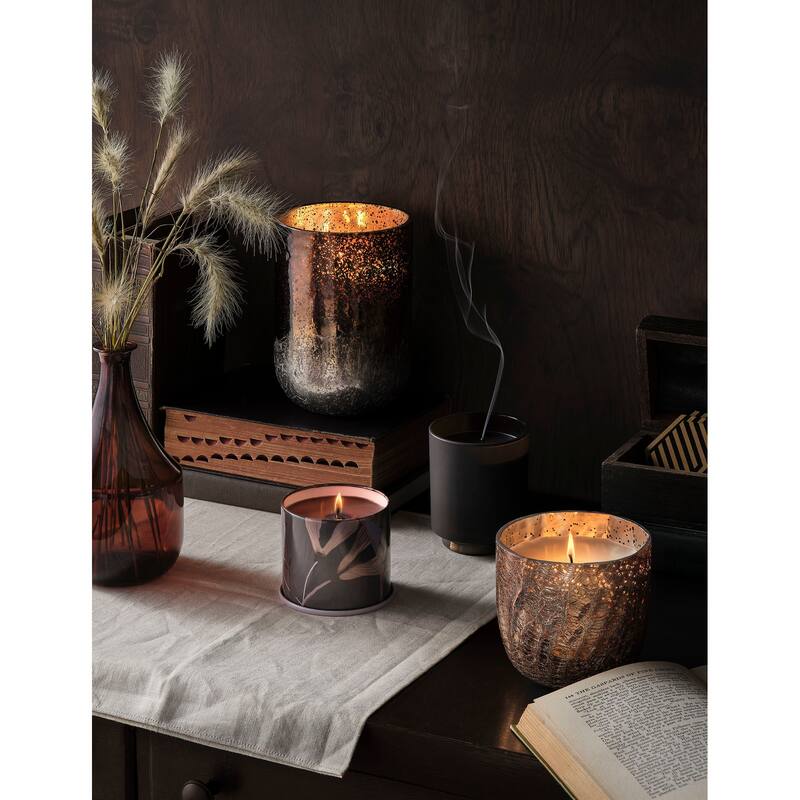 ILLUME Noble Autumn Woodfire Candle