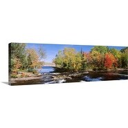 Marc Bohne- Trees Above The River 36 x 31 Gallery Wrap Canvas - Free ...