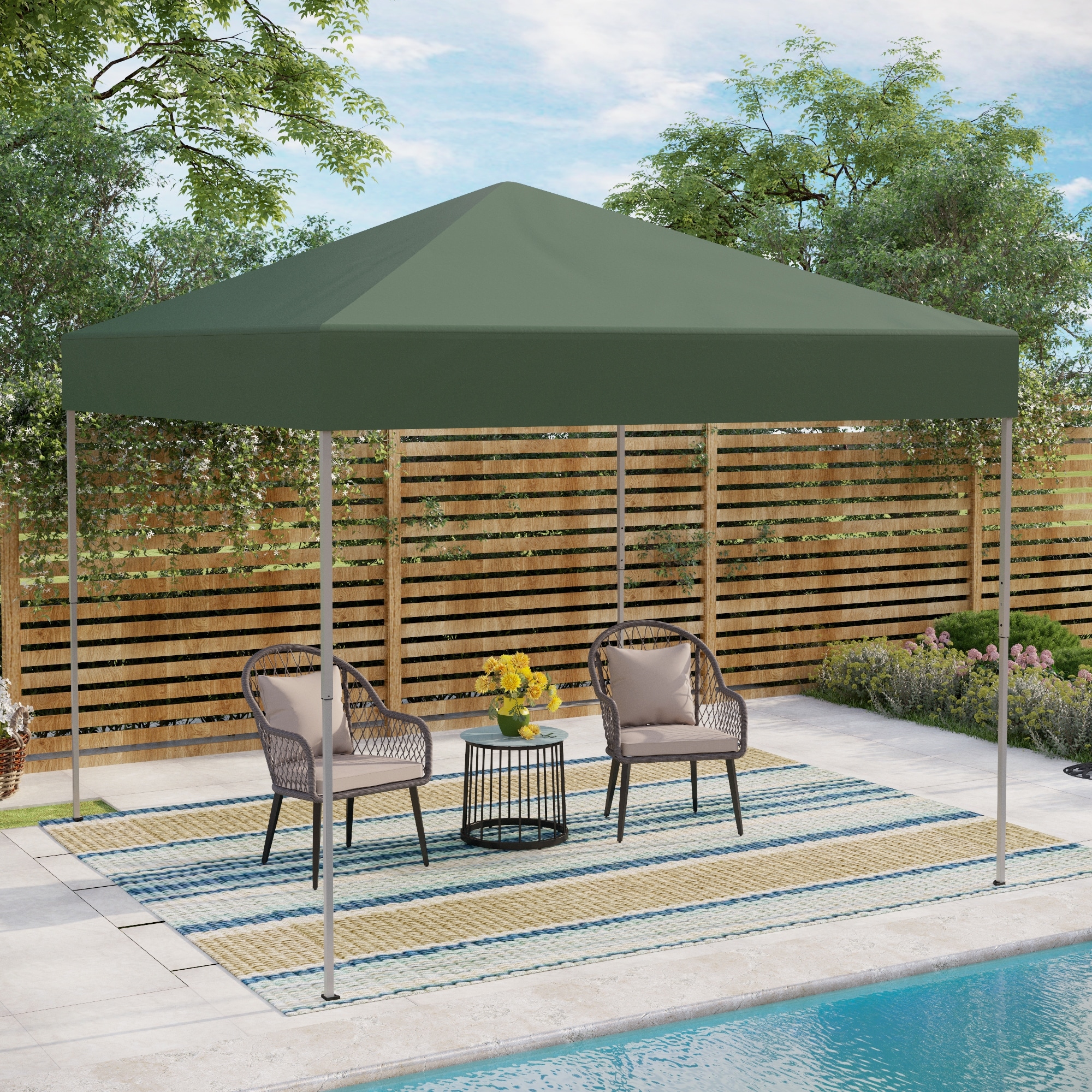Pop up sales canopy canadian tire