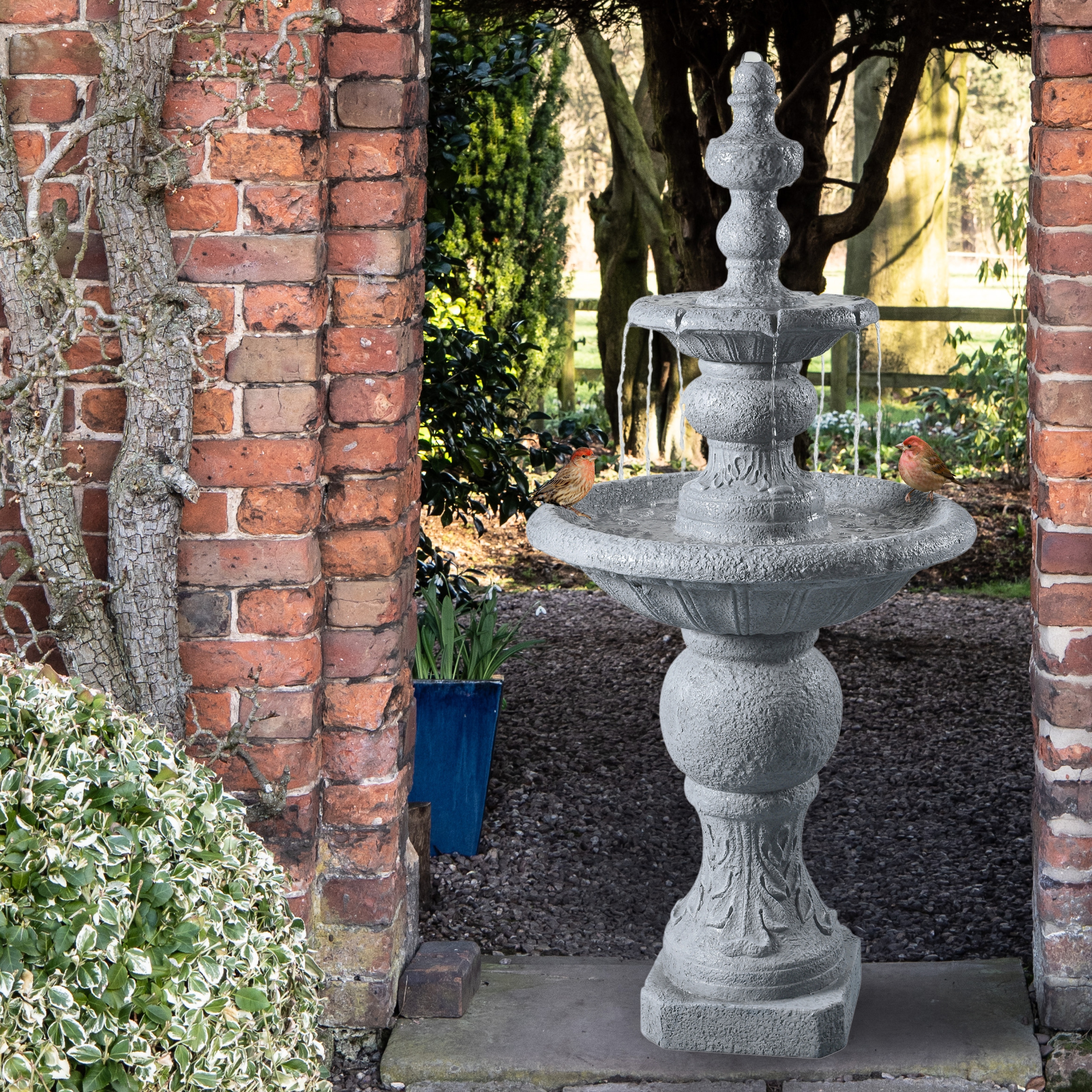 Martha stewart pet fountain shop