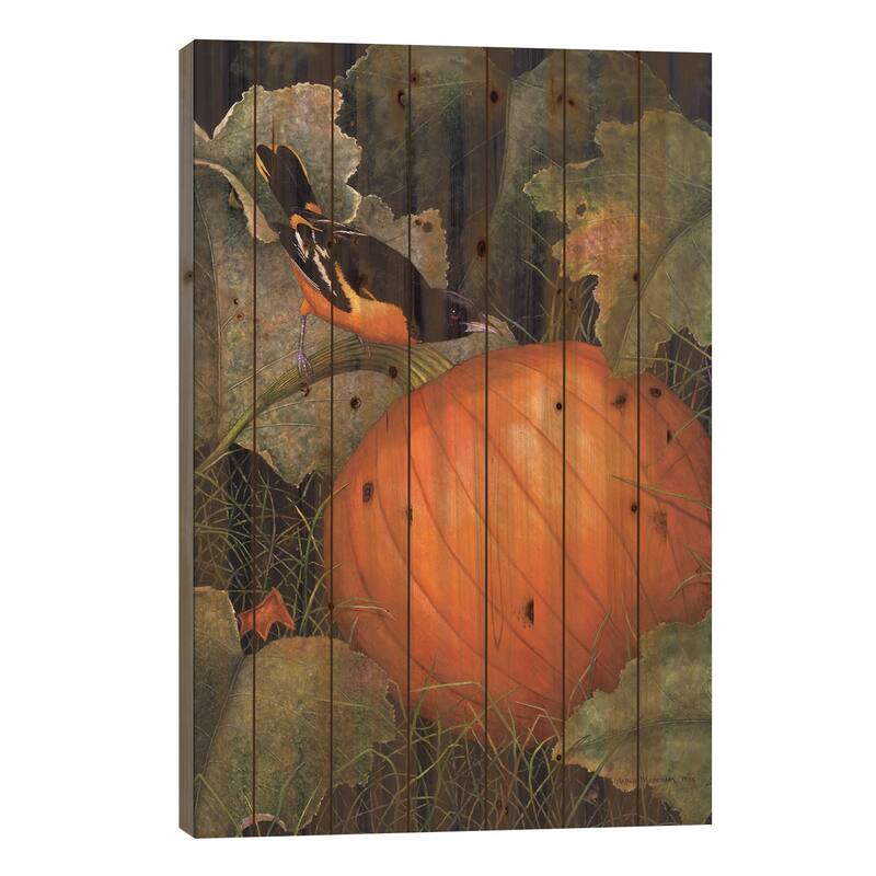 Oriole & Pumpkin Print On Wood by Marcia Matcham - Multi-Color - 40x26x1.5