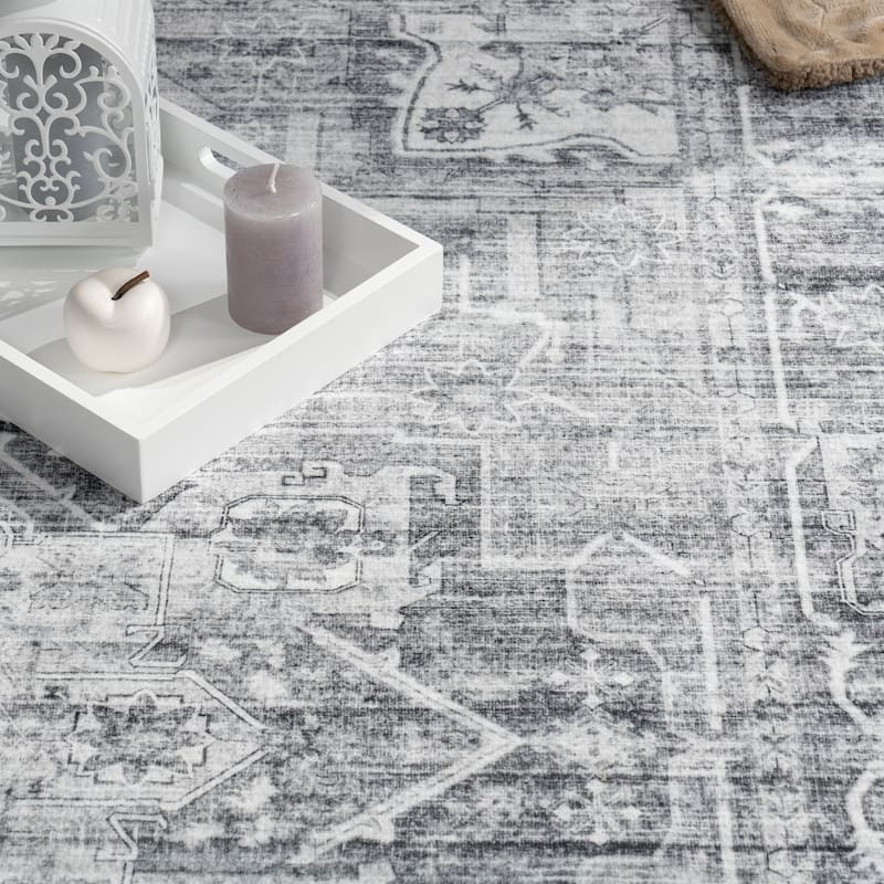 Modern Area Rug Bordered Classic Design in Vintage Look