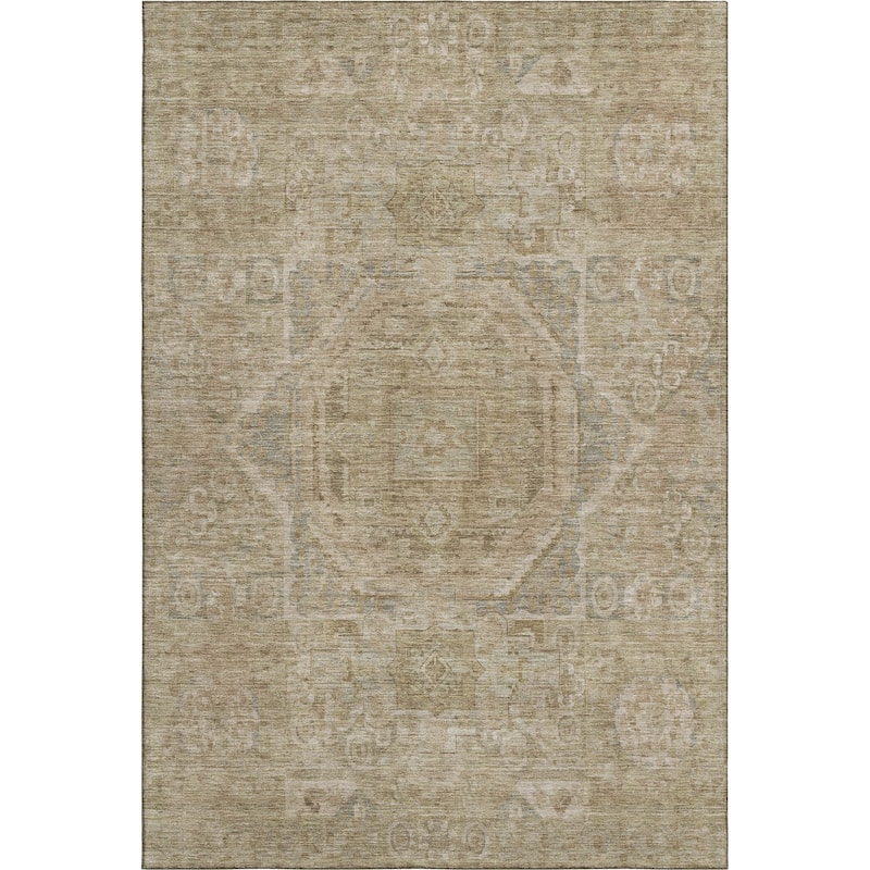 Premium Washable Super Soft Vintage Traditional Mayfield Rug