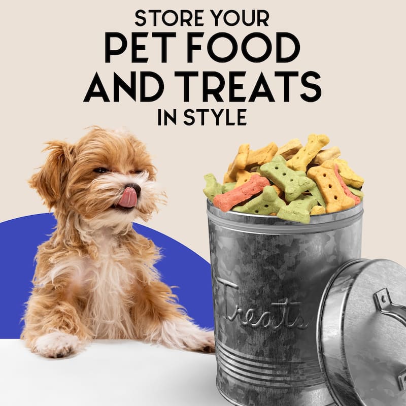 Amici Home Retro Treats Storage Canister With Lid for Pet Food