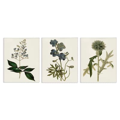Stupell Vintage Blue Botanical Flowers on Beige, 3pc Multi Piece Canvas Wall Art Set
