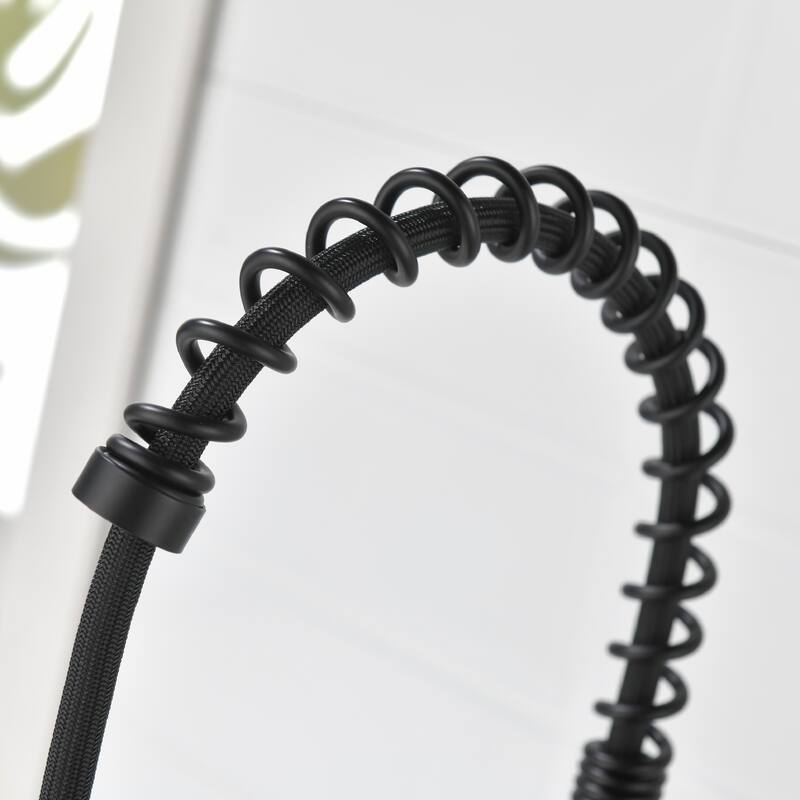 Spring Kitchen Faucet, Single Level Handle and Pull Down Sprayer