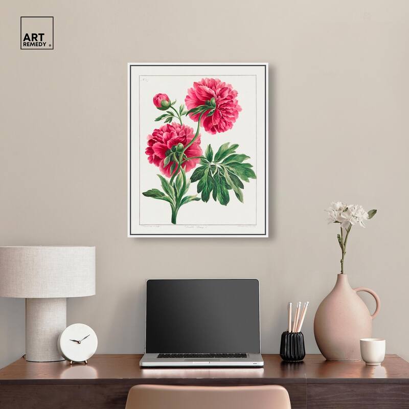 Double Peony (1789) Canvas by Art Remedy