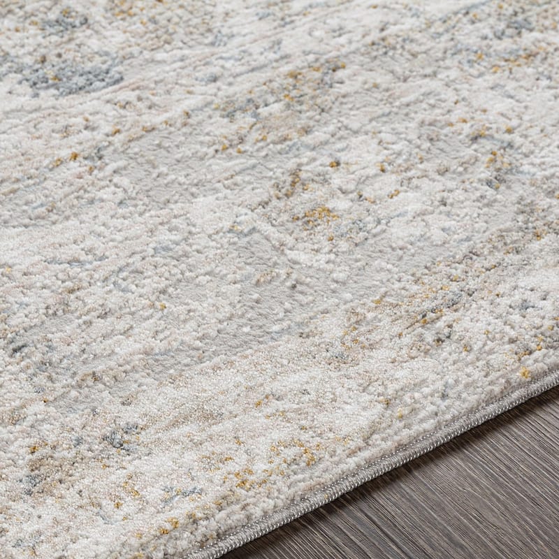 Chadwick Vintage Border Area Rug