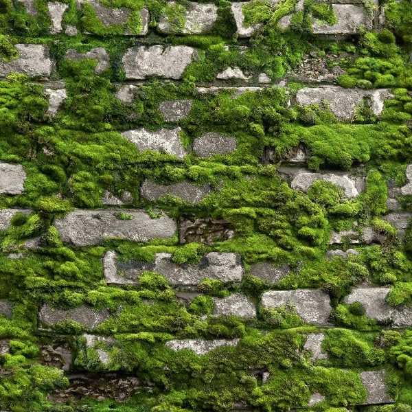 slide 2 of 4, Galerie Wallcoverings Bricks and More Collection Mossy Stone Wall Matte Finish Vinyl on Non-woven Wallpaper Roll 33-feet long x 21-inches wide - Green