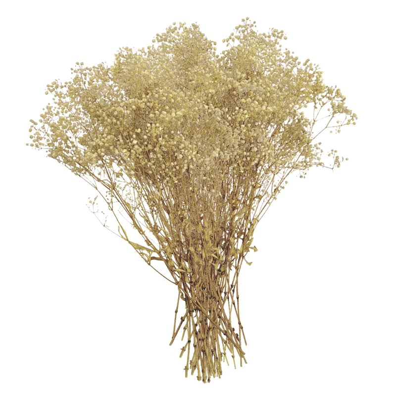 Bundle of 4 Preserved Gypsophila, Baby's Breath,24" long - 24 inch