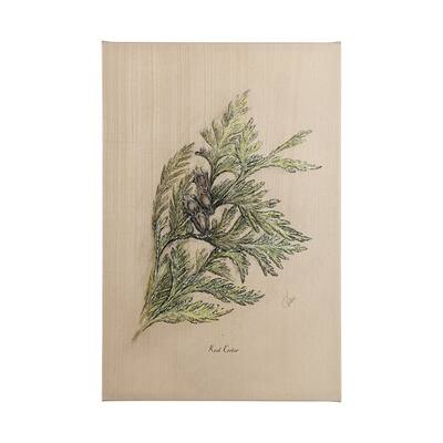 Evergreen collection III (34 x 51) Canvas Art Print