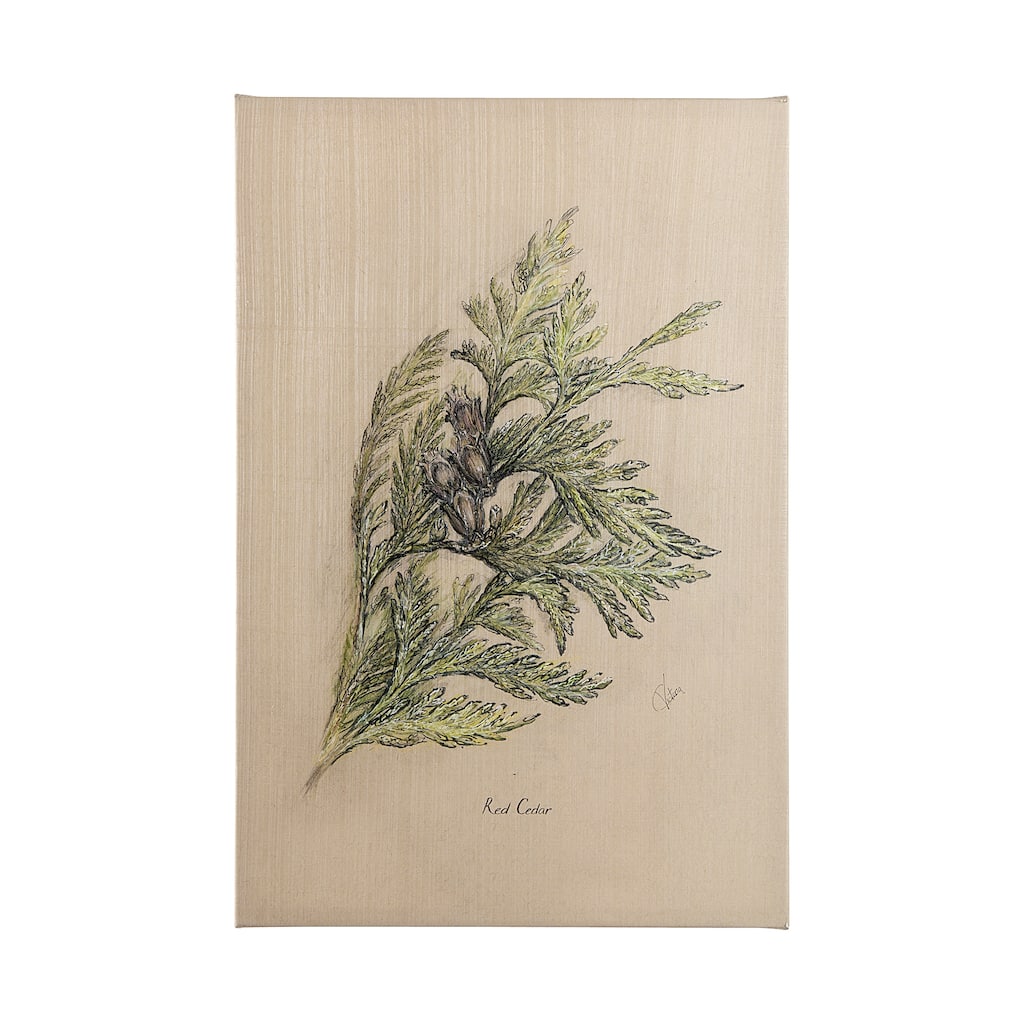 Evergreen collection III (34 x 51) Canvas Art Print