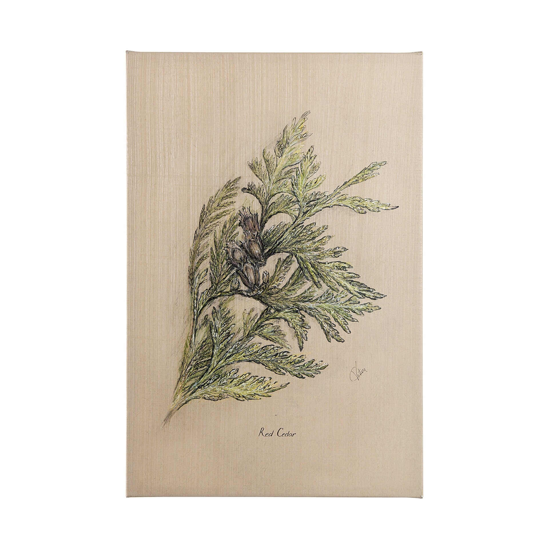 LR　オーダー Evergreen collection III (34 x 51) Canvas Art Print - Overstock