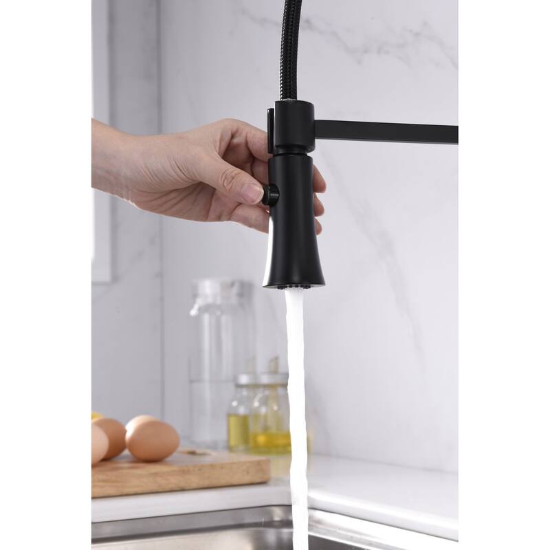 UltraFaucets Euro Collection Spring Spout Kitchen Faucet With Pull-Down Spray