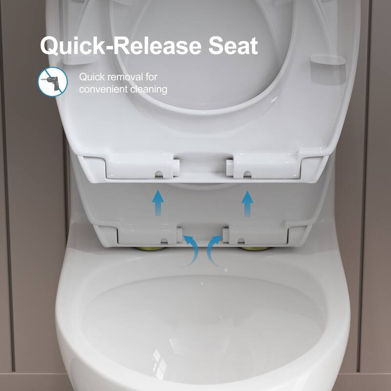 HOROW 1 Piece Dual Flush Elongated Toilet White 0.8 1.28 GPF Seat Included Brushed Gold Button