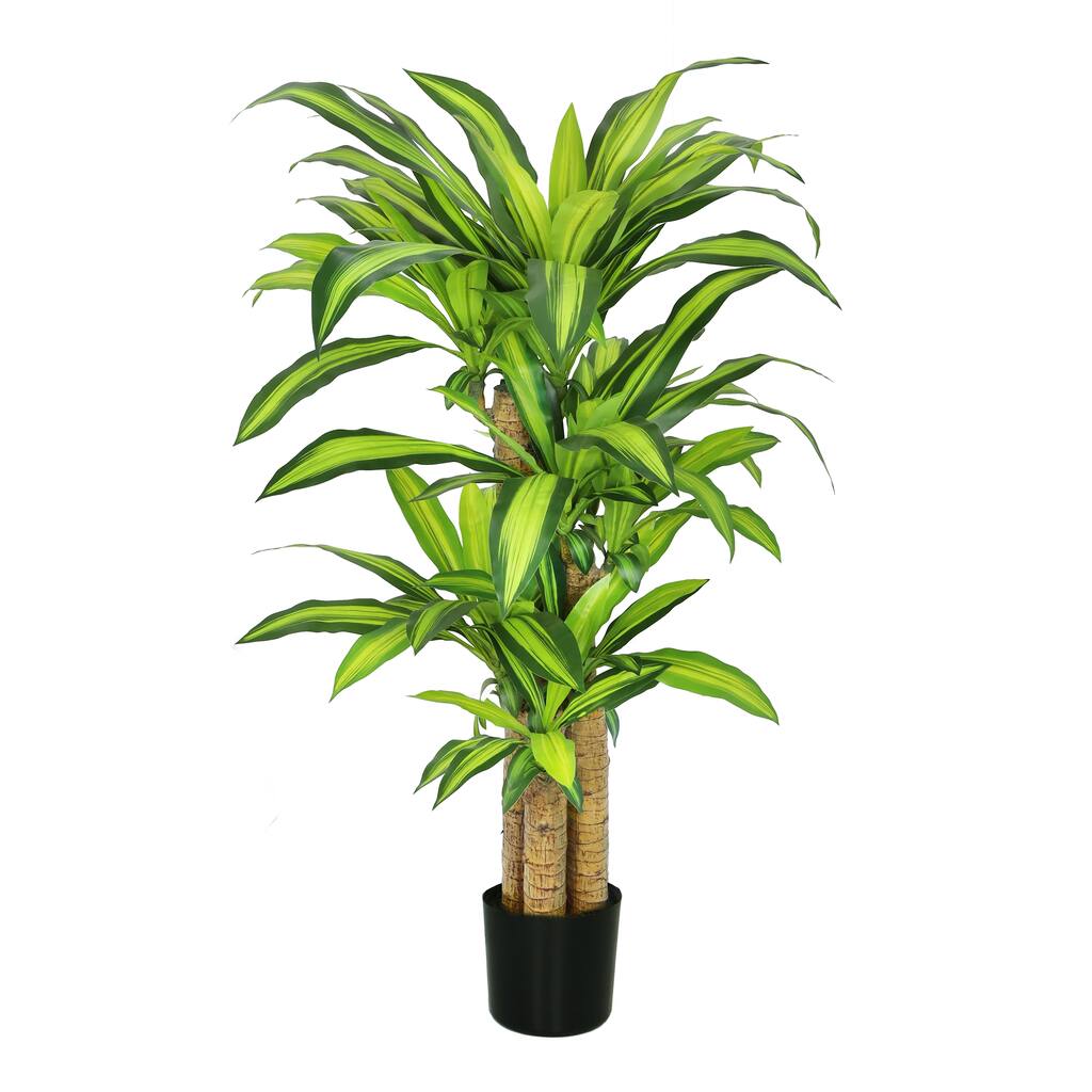 4ft Real Touch Artificial Dracaena Tree Plant in Black Pot - 48" H x 34" W x 30" DP