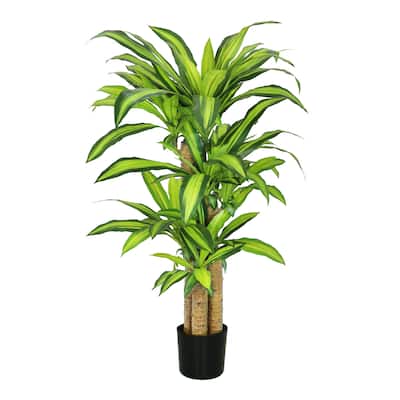 4ft Real Touch Artificial Dracaena Tree Plant in Black Pot - 48" H x 34" W x 30" DP