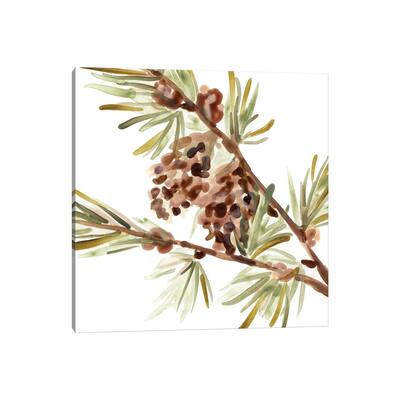 iCanvas "Simple Pine Cone II" by June Erica Vess Canvas Print