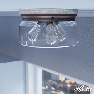 Hunter Devon Park 3-Light Flush Mount Ceiling Light - Clear Glass - Farmhouse, Rustic, Transitional