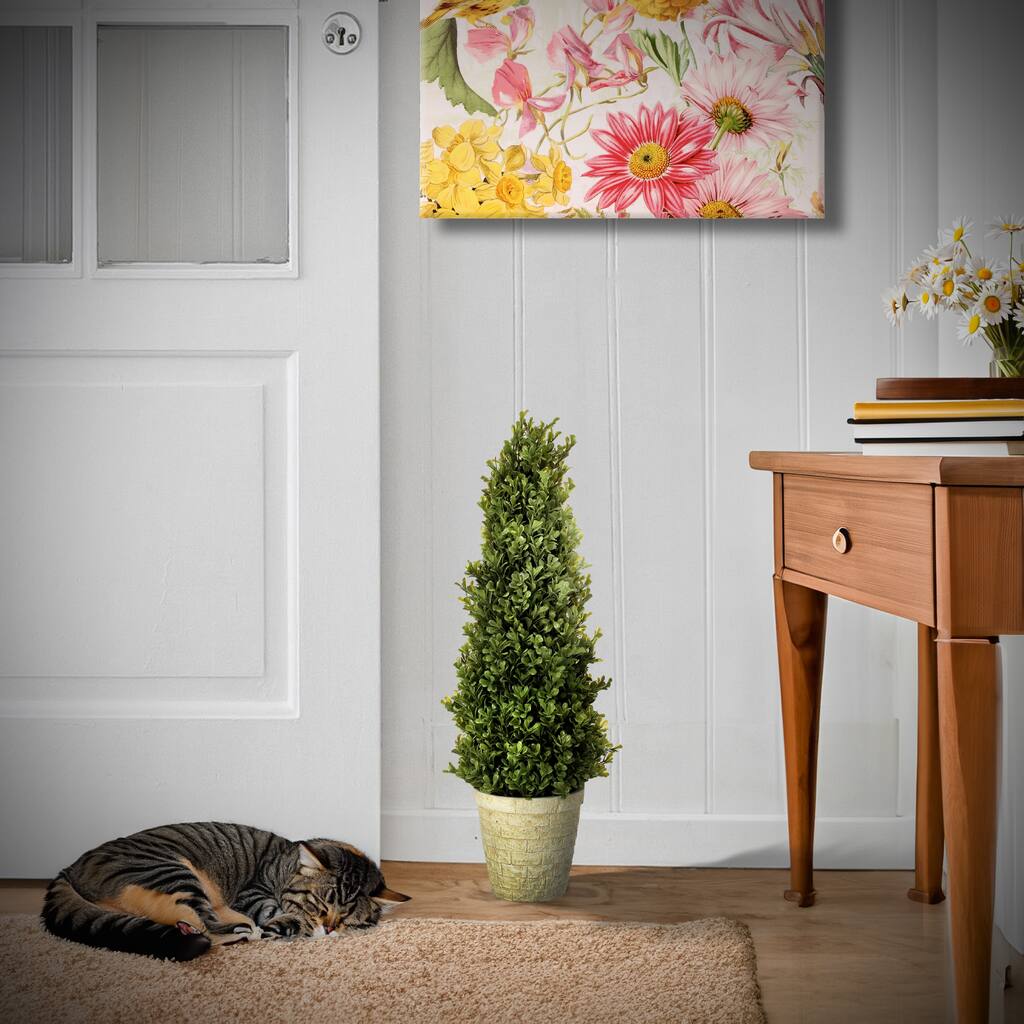 Spring Boxwood Cone Topiary Potted 24