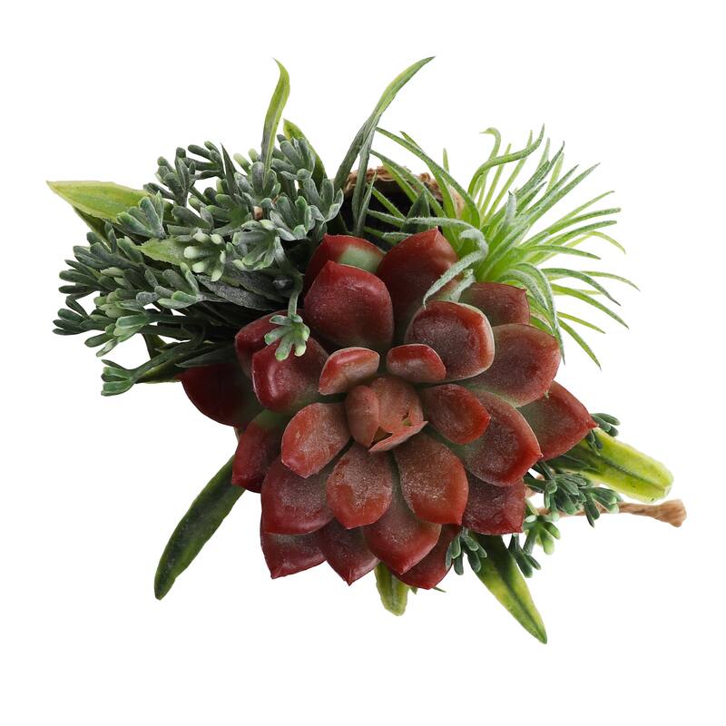 Succulent Garden - Mini - Catalina - Set
