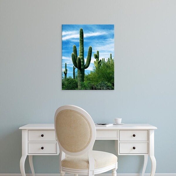 Easy Art Prints Charles Gurche's 'Saguaro Cacti' Premium Canvas Art