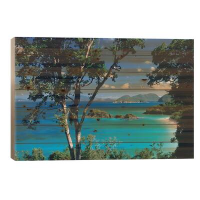 Caribbean Seen Through Trees, Virgin Islands National Park Print On Wood by Tim Fitzharris - Multi-Color