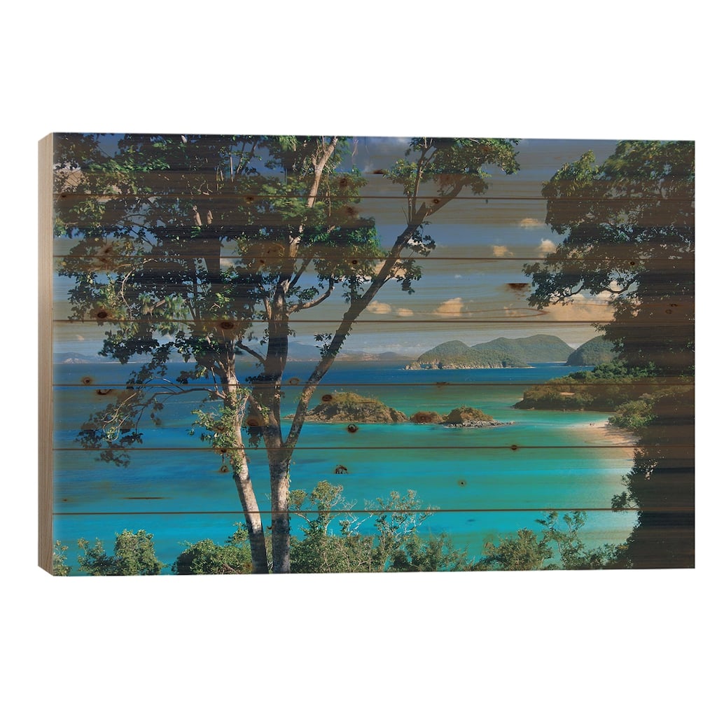 Caribbean Seen Through Trees, Virgin Islands National Park Print On Wood by Tim Fitzharris - Multi-Color